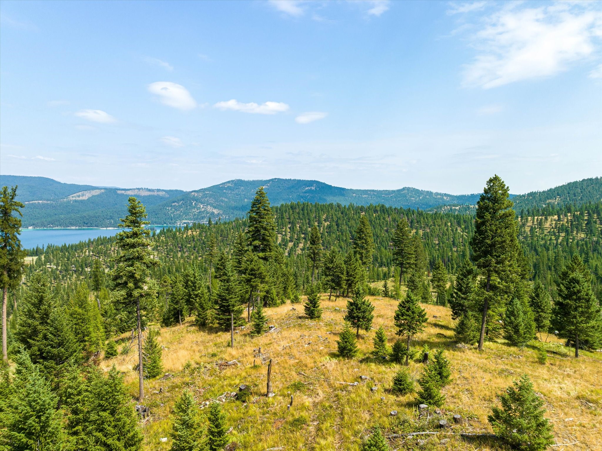 Kalispell, Montana 59901, United States, ,Land,Active,48643