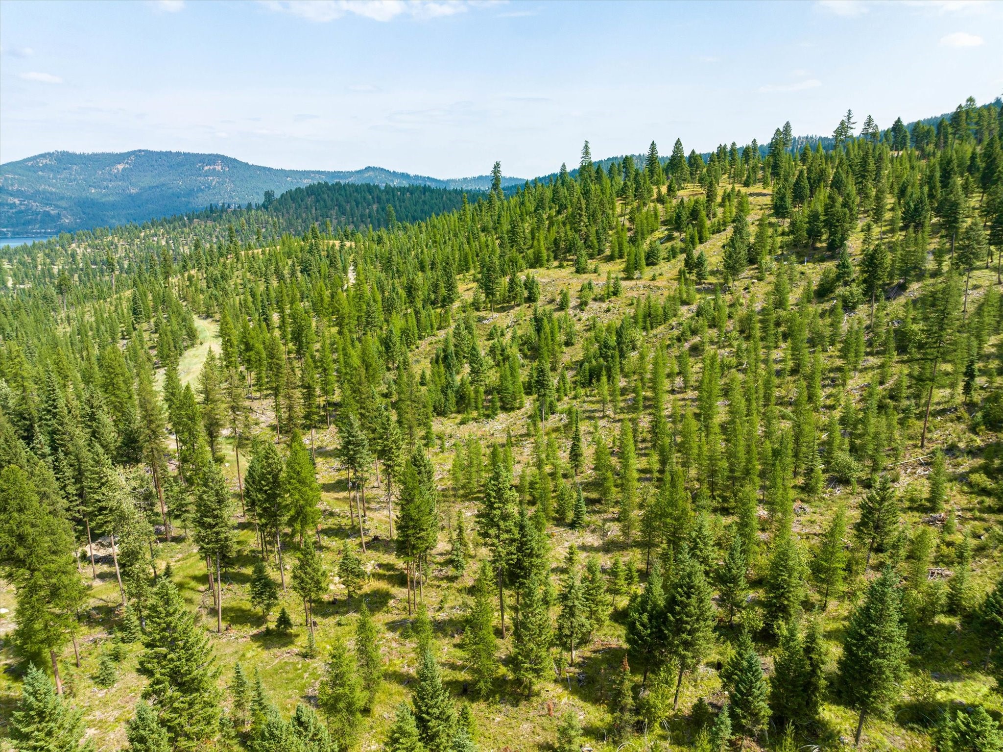 Kalispell, Montana 59901, United States, ,Land,Active,48643