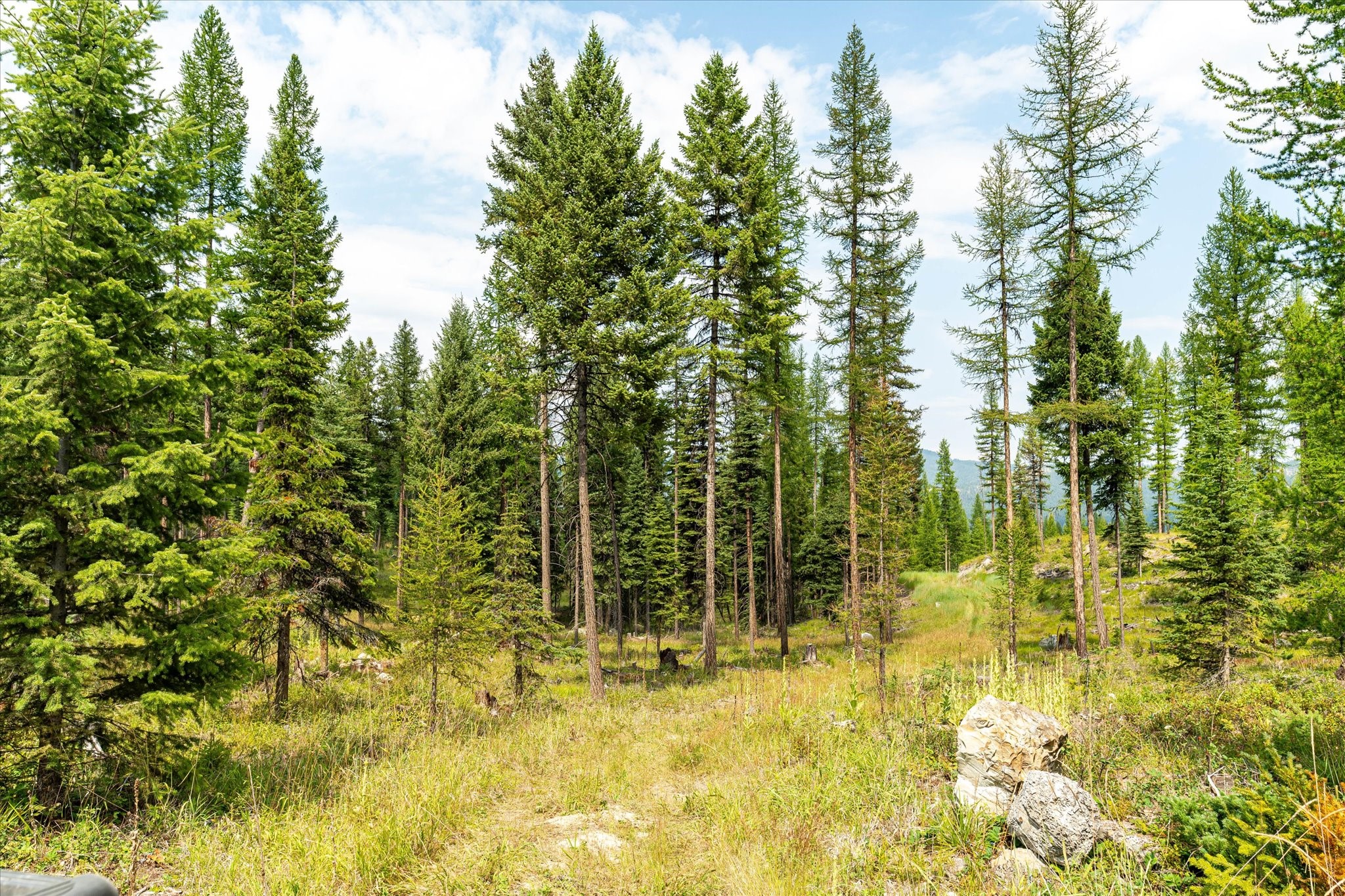 Kalispell, Montana 59901, United States, ,Land,Active,48643