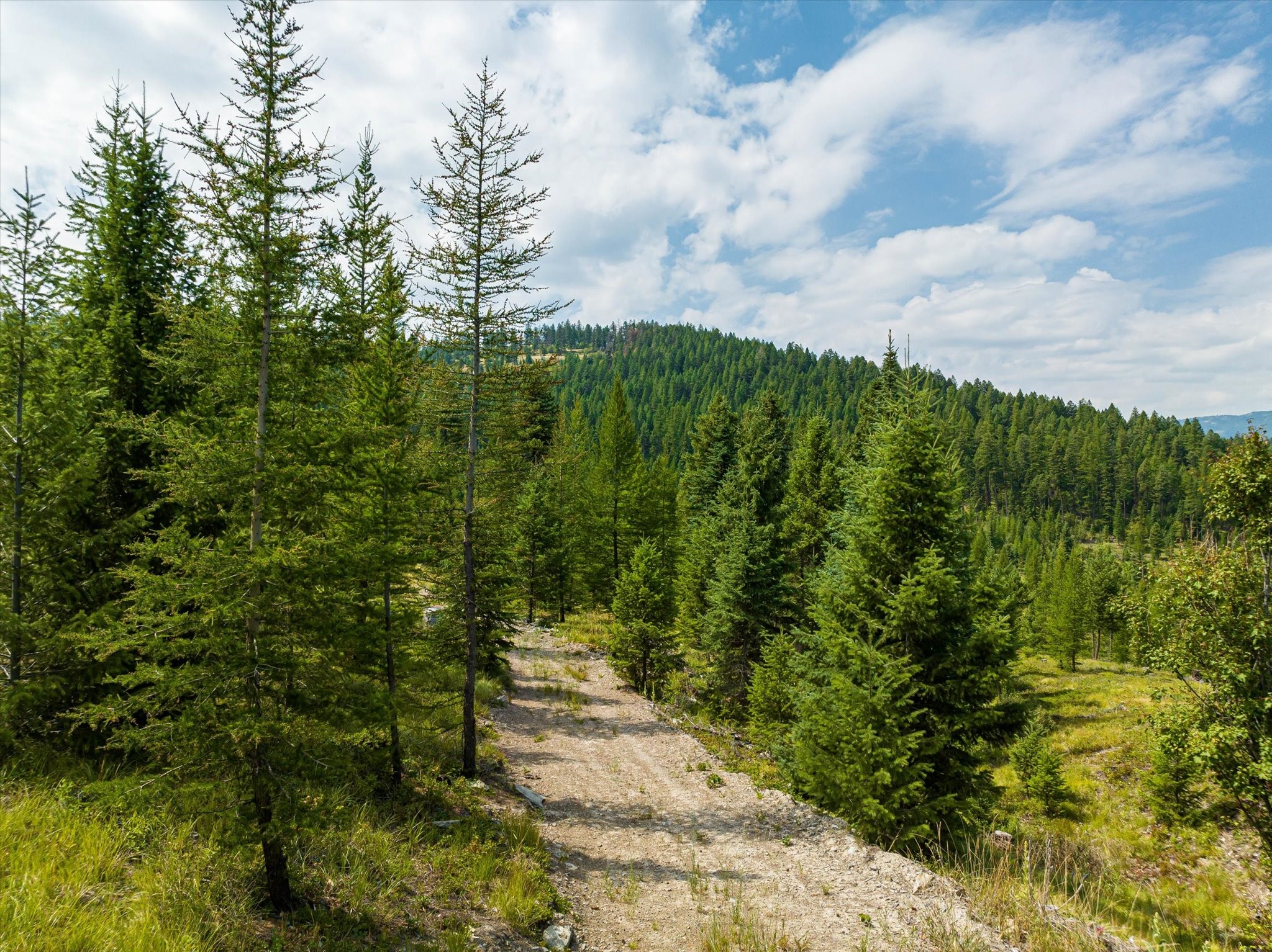 Kalispell, Montana 59901, United States, ,Land,Active,48643