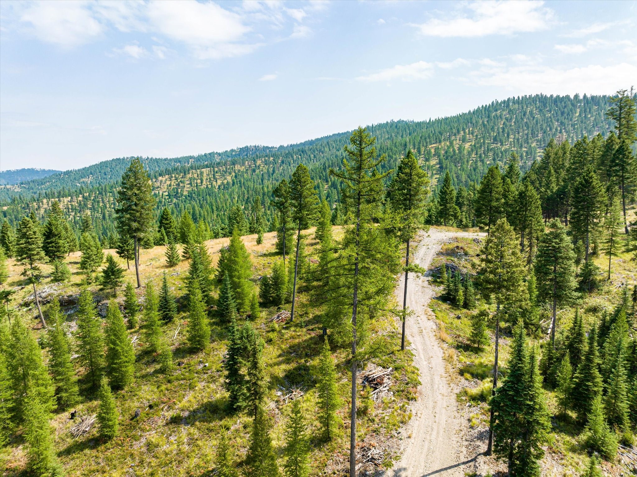 Kalispell, Montana 59901, United States, ,Land,Active,48643