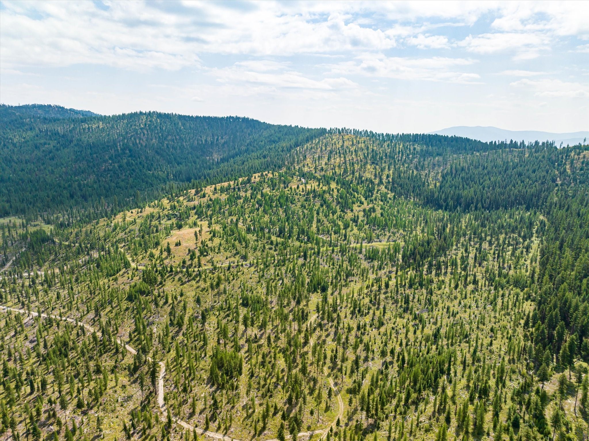 Kalispell, Montana 59901, United States, ,Land,Active,48643