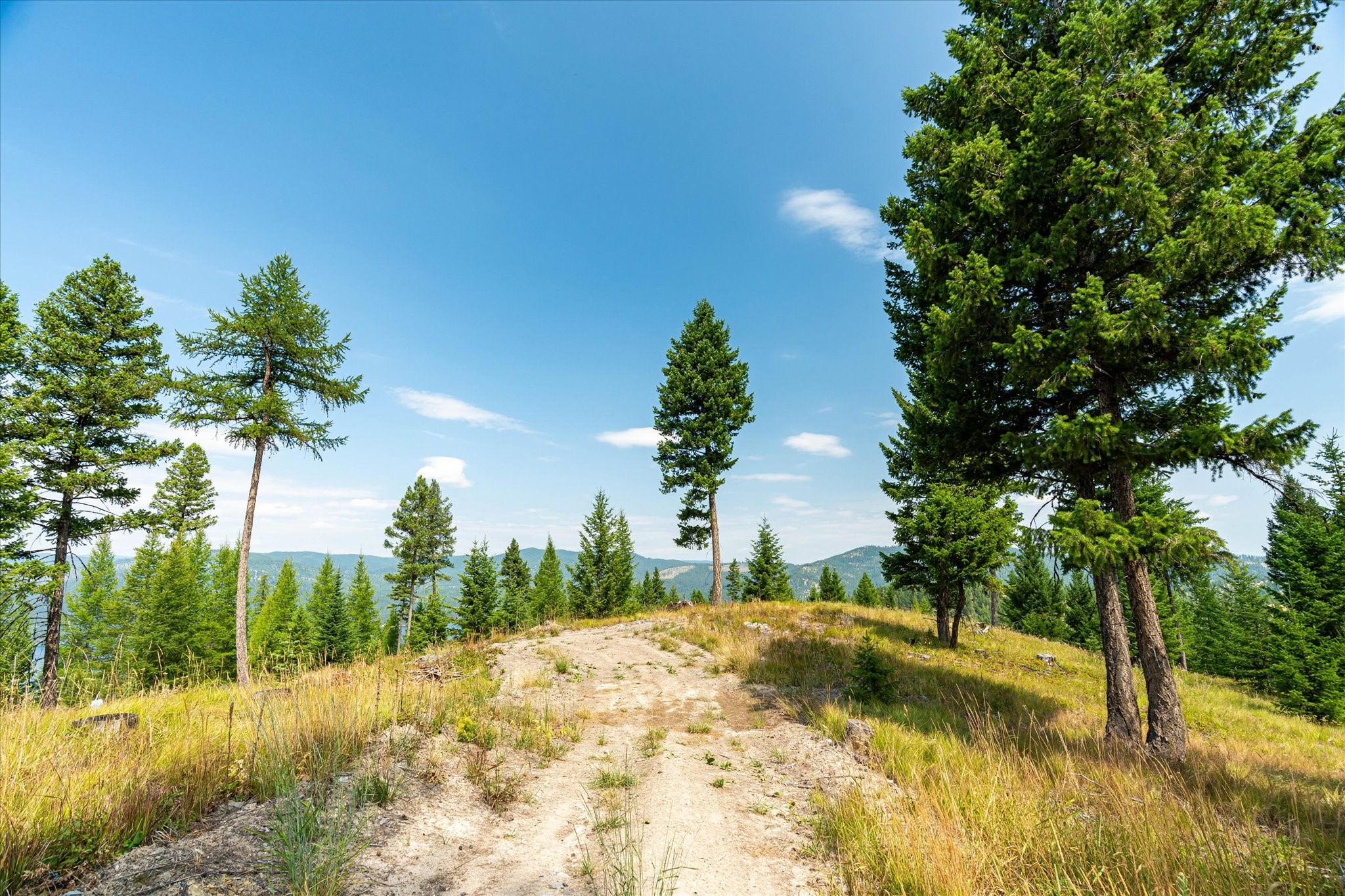 Kalispell, Montana 59901, United States, ,Land,Active,48643