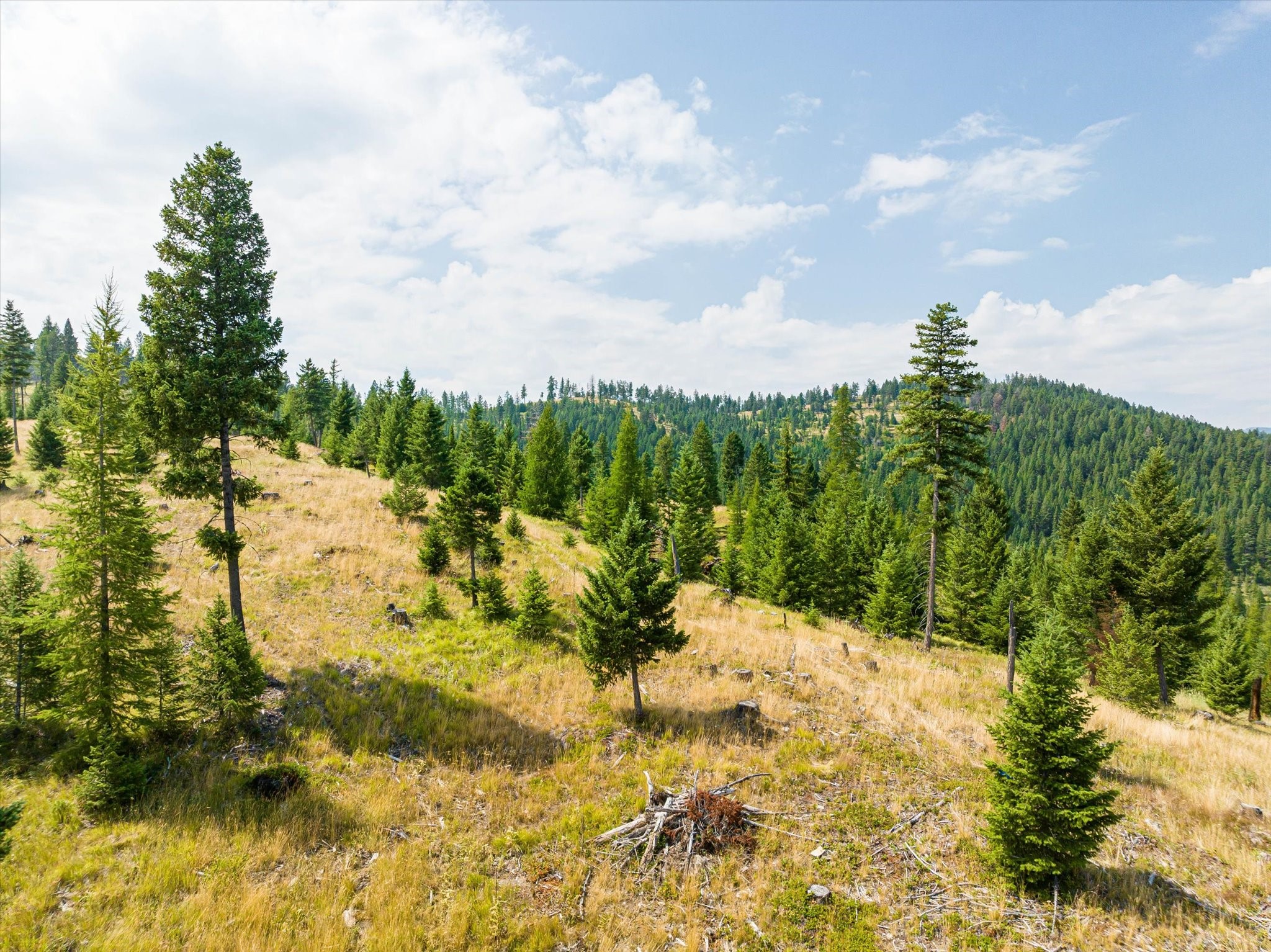 Kalispell, Montana 59901, United States, ,Land,Active,48643