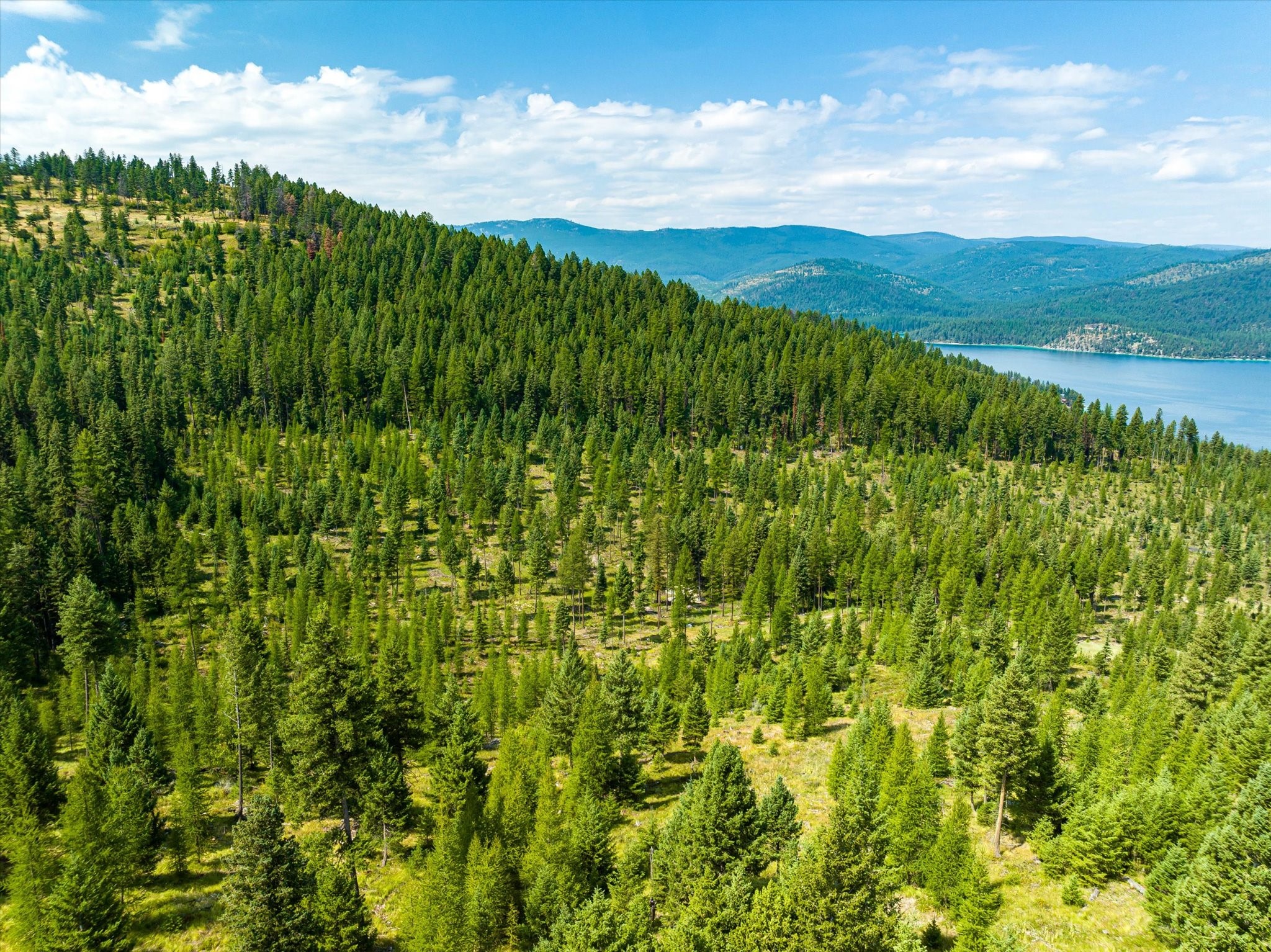 Kalispell, Montana 59901, United States, ,Land,Active,48643