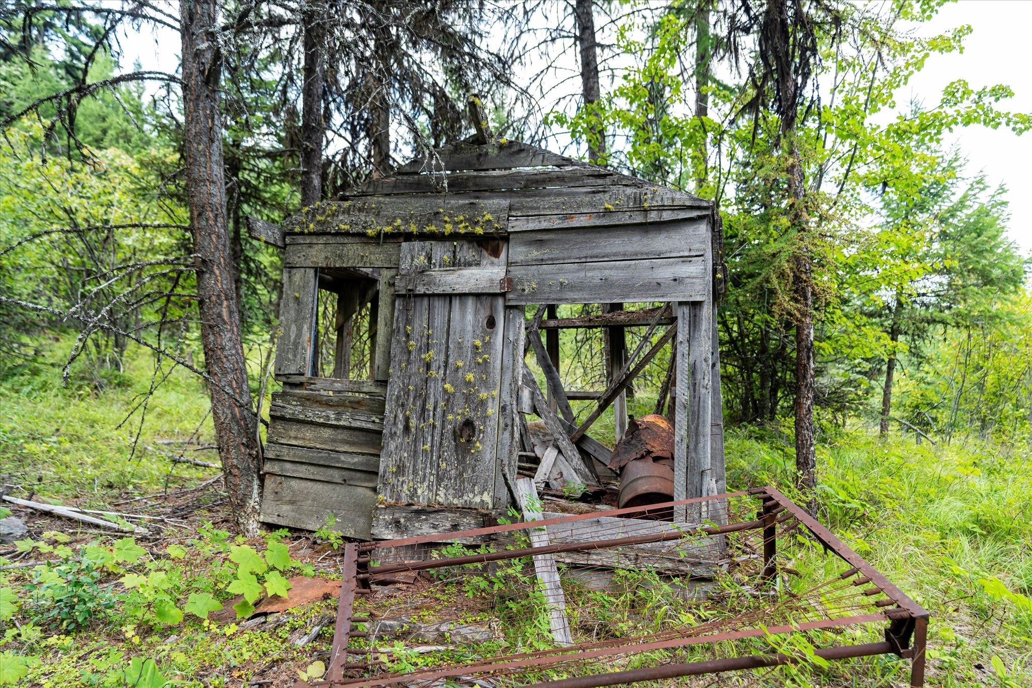 Kalispell, Montana 59901, United States, ,Land,Active,48643