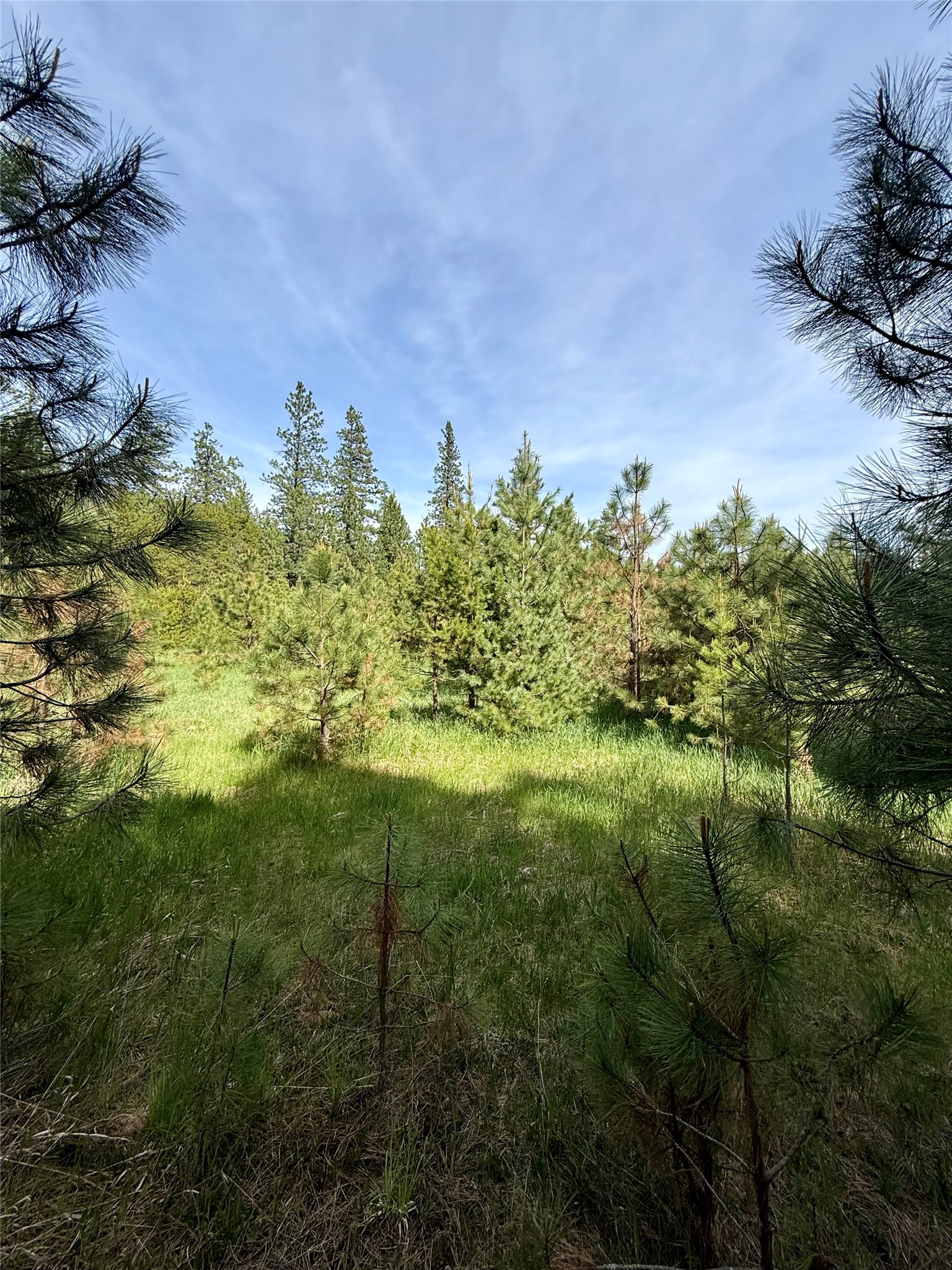 Nhn Old Cottonwood Lane