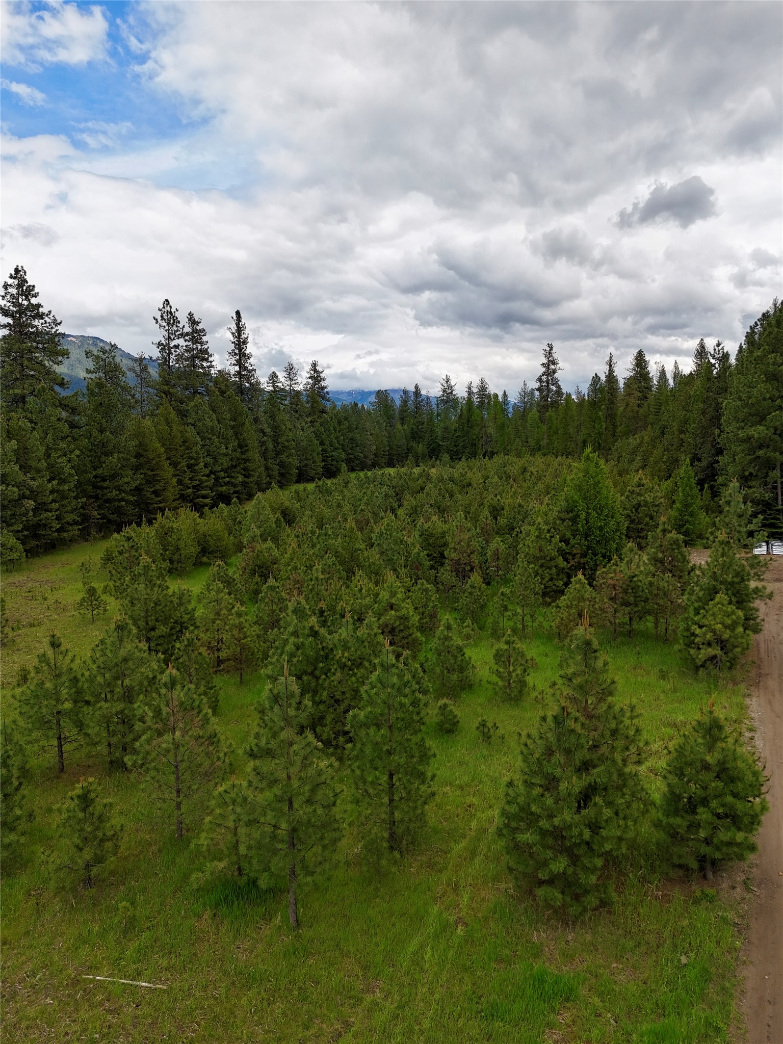Nhn Old Cottonwood Lane