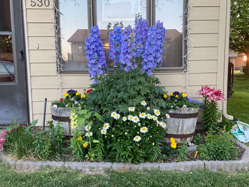 Photo of 530 Coventry Court, Helena, MT 59601 (MLS # 30069232)