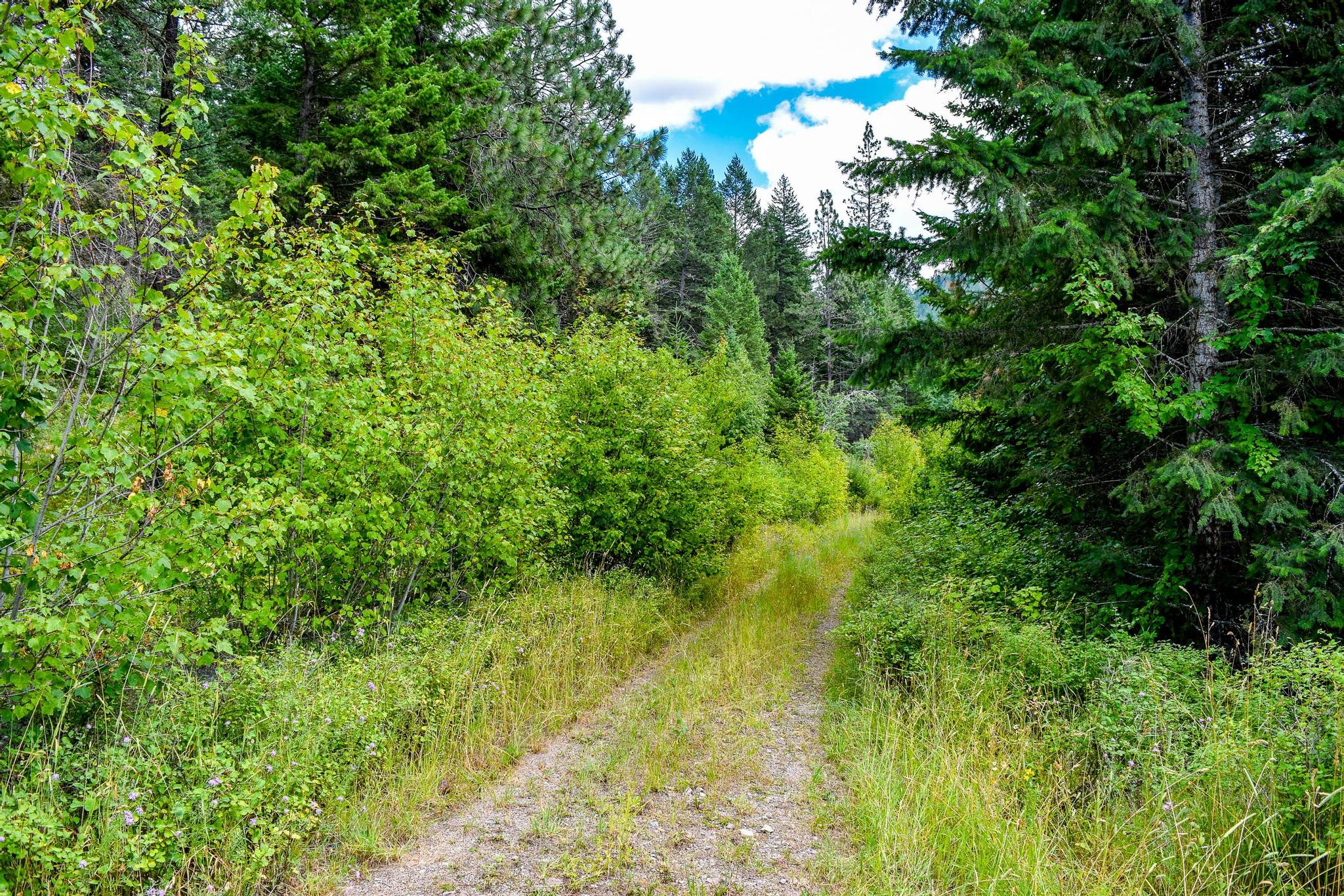 NHN St. Mary's Lake Road