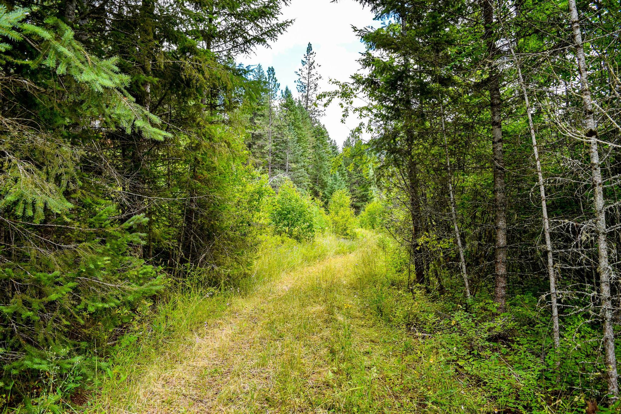 NHN St. Mary's Lake Road