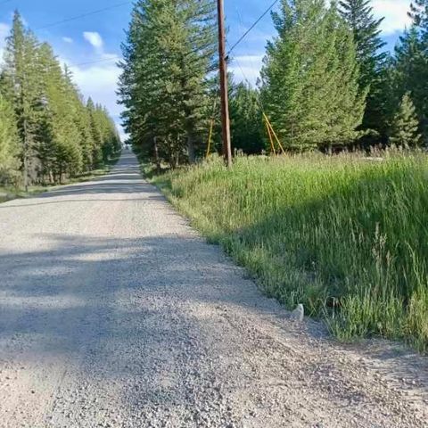 Tiny photo for 546 Bald Rock Road, Kalispell, MT 59901 (MLS # 30066498)