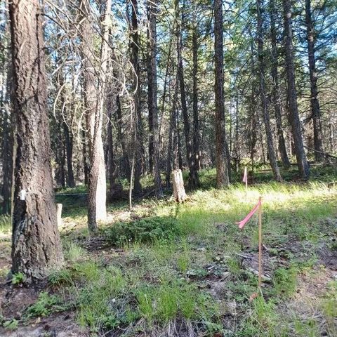 Tiny photo for 546 Bald Rock Road, Kalispell, MT 59901 (MLS # 30066498)