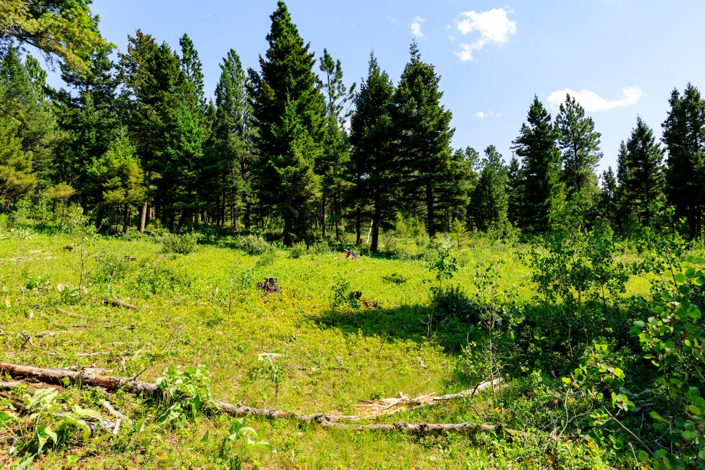 Photo of NHN Timber Creek Road, Judith Gap, MT 59453 (MLS # 30078684)
