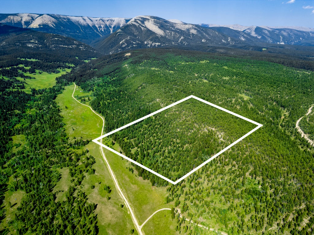 Photo of NHN Timber Creek Road, Judith Gap, MT 59453 (MLS # 30078684)