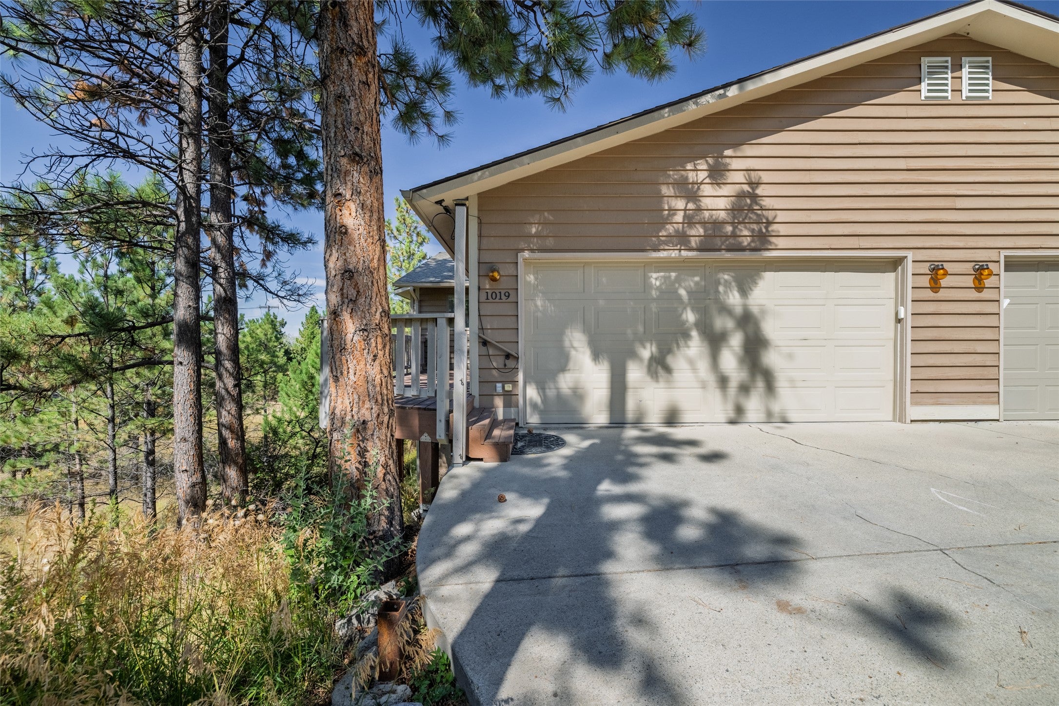 1019 Woodbridge Street