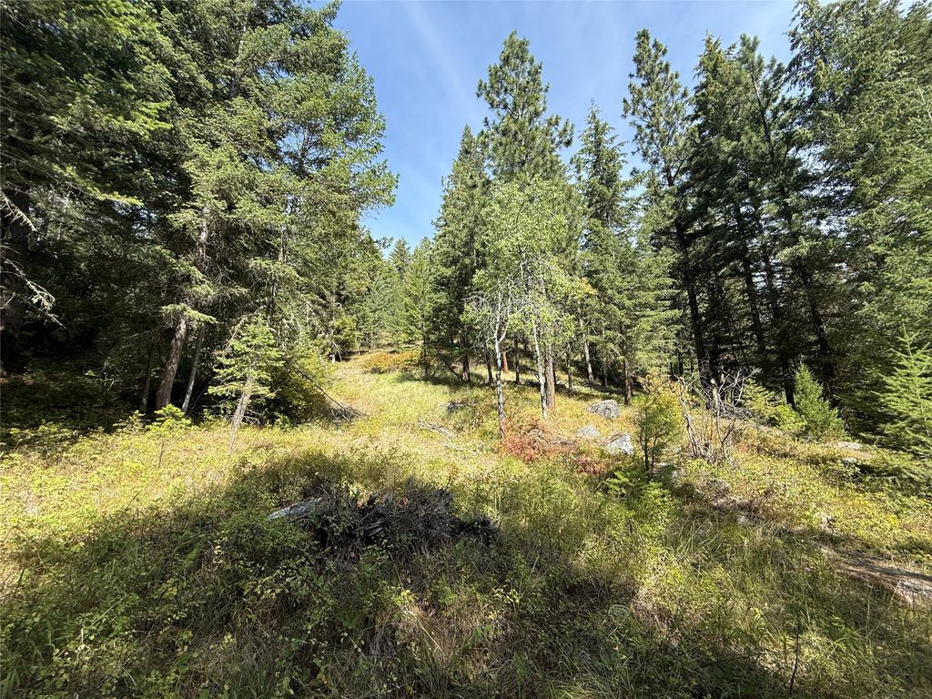 Photo of NKN Wyant Lane, Hamilton, MT 59840 (MLS # 30054398)