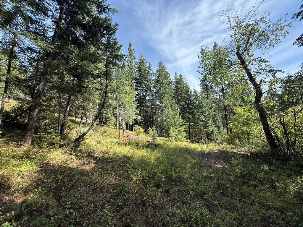 Photo of NKN Wyant Lane, Hamilton, MT 59840 (MLS # 30054398)