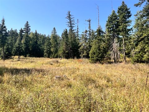 Tiny photo for 1019 Larch Ridge Trail, Columbia Falls, MT 59912 (MLS # 30070699)