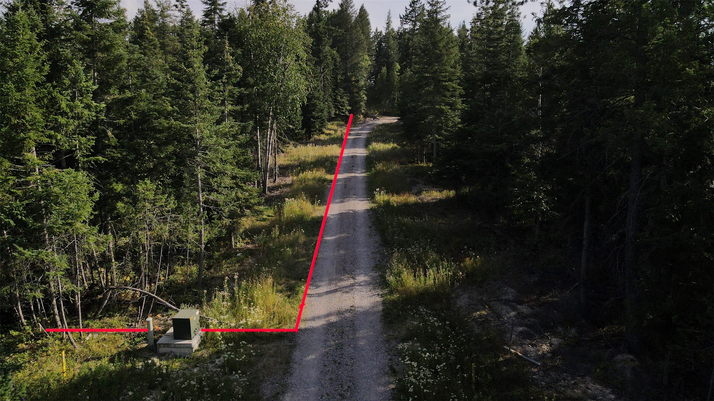 1019 Larch Ridge Trail
