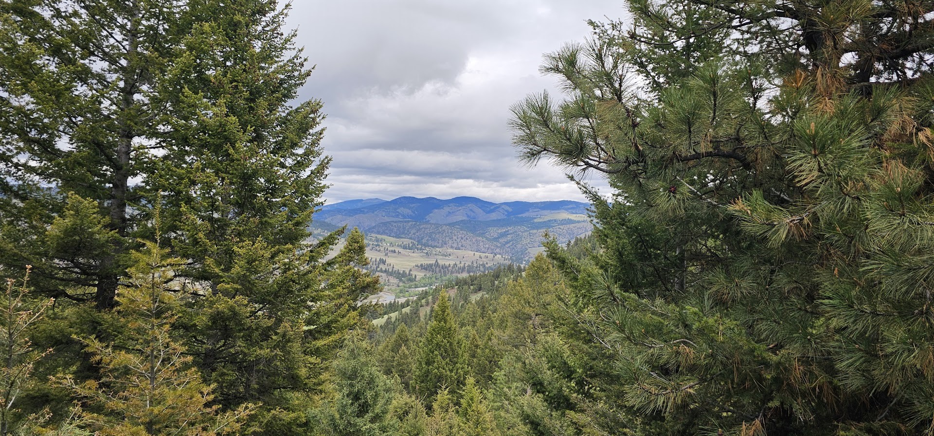 3 Tract, Bull Elk