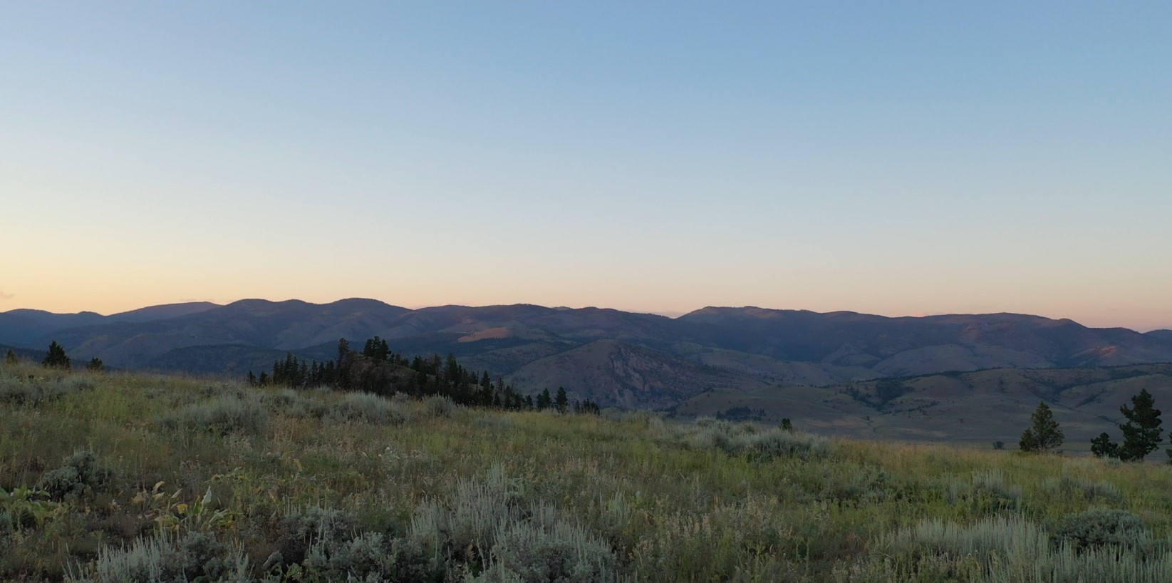 3 Tract, Bull Elk