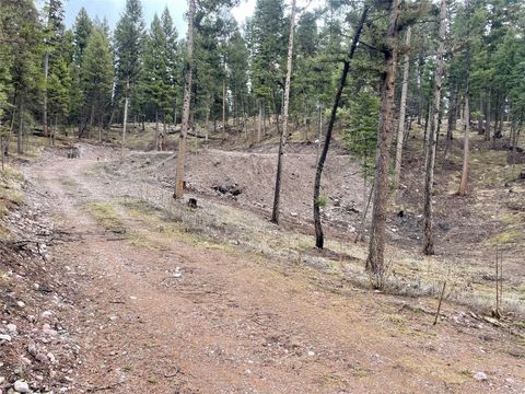170 Leota Peak Court Seeley Lake MT 59868