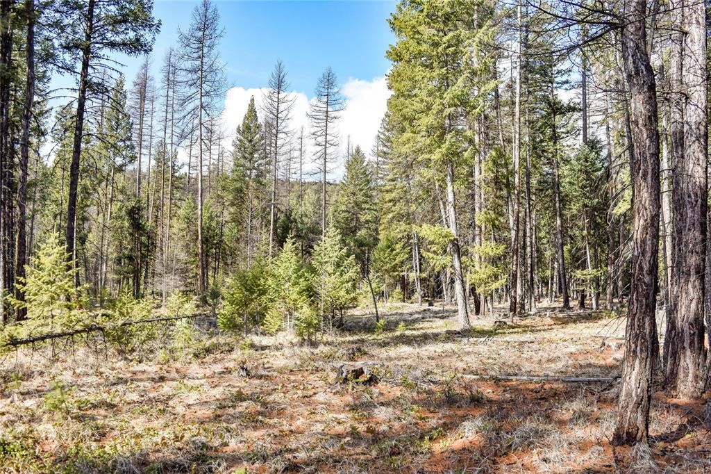 Lot 1A Meadow Springs