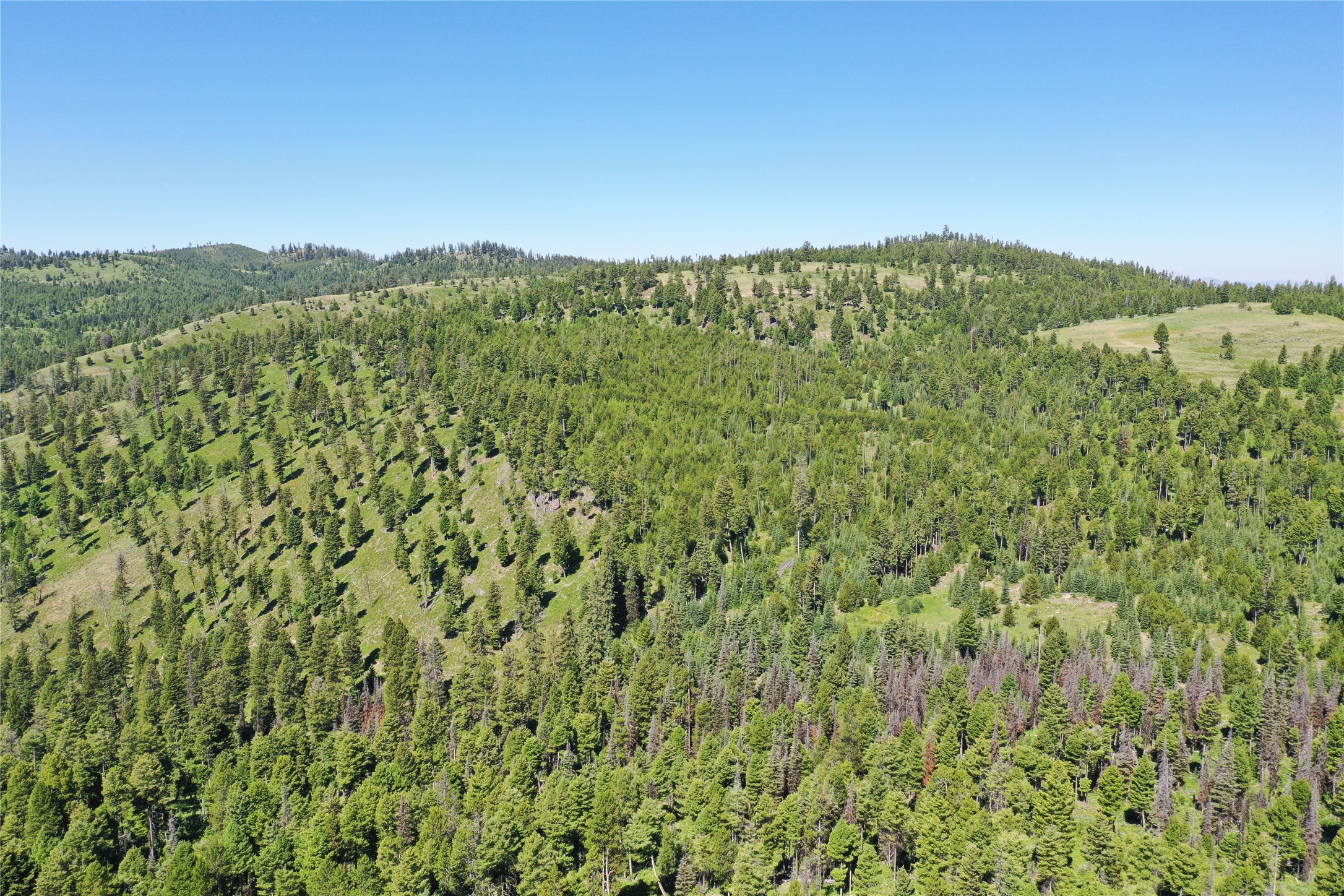11 Tract, Garnet Range