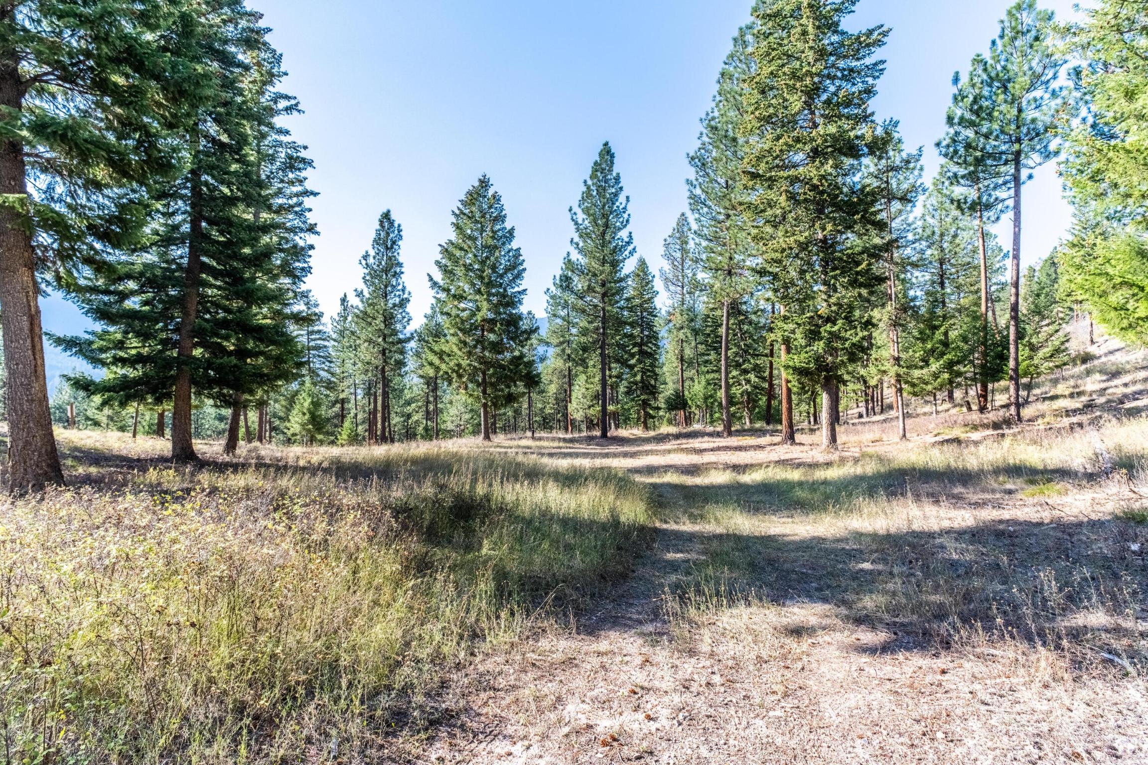 Lot 15 Muddler Court