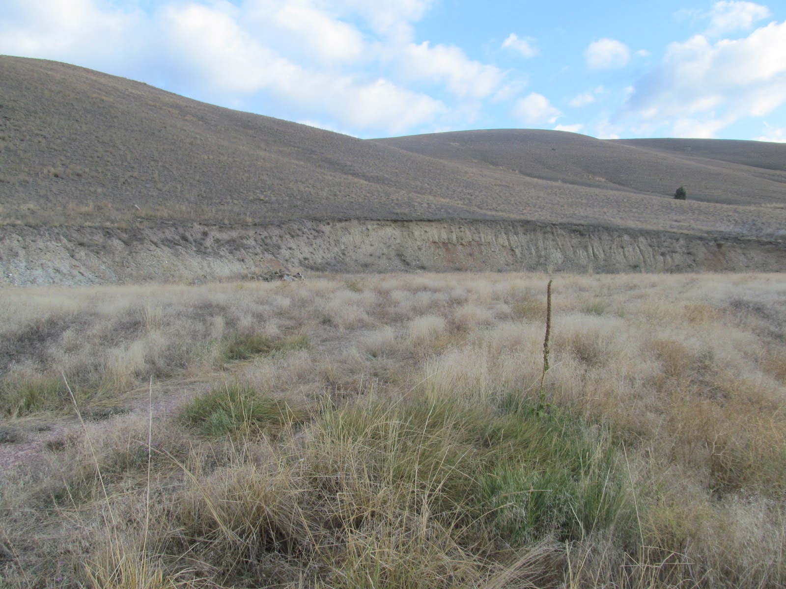 1164 Marshall Creek Road