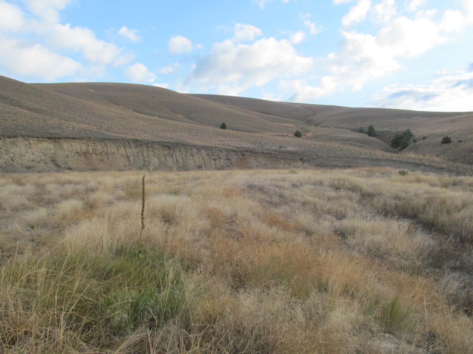 1164 Marshall Creek Road