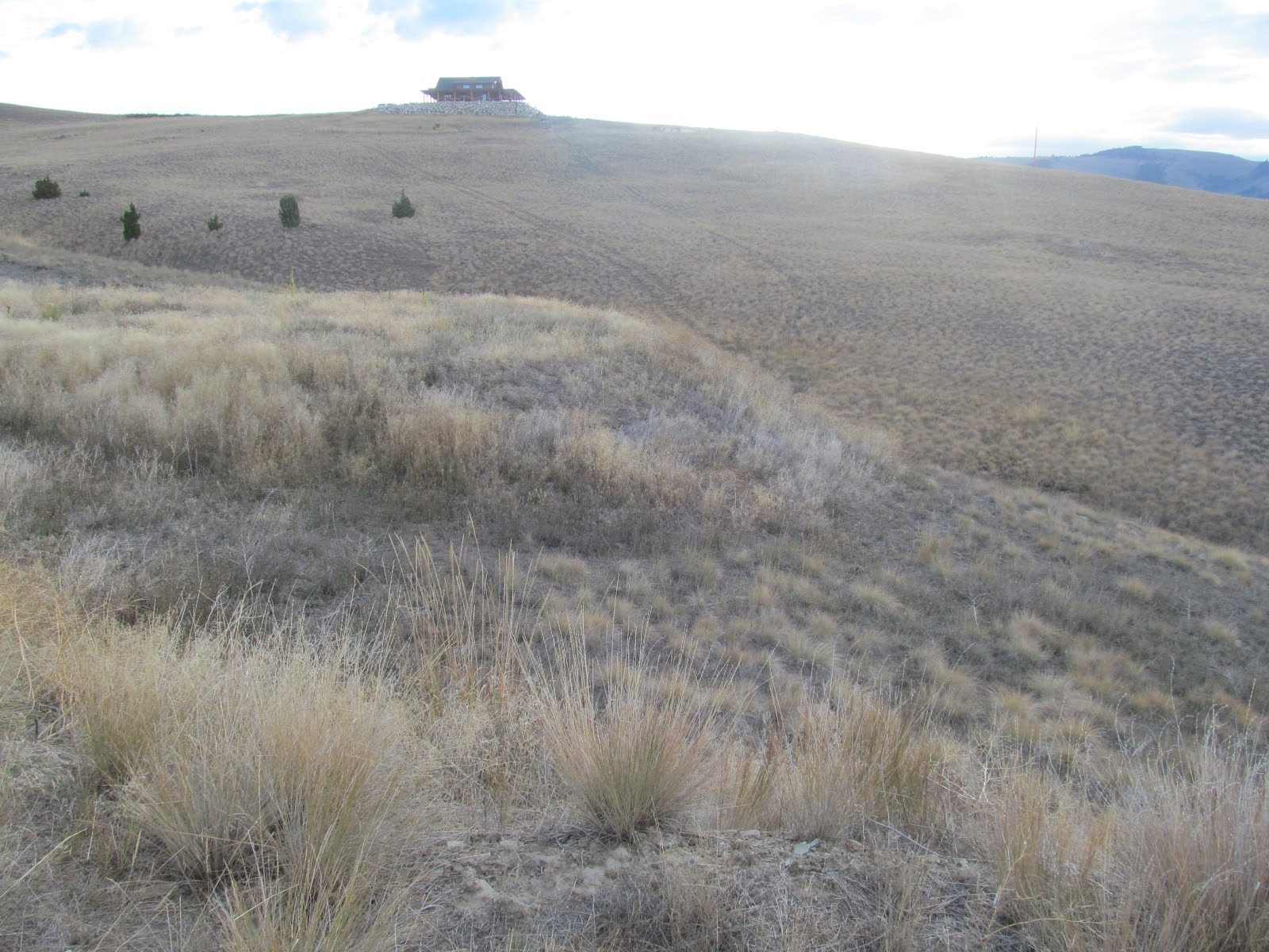 1164 Marshall Creek Road