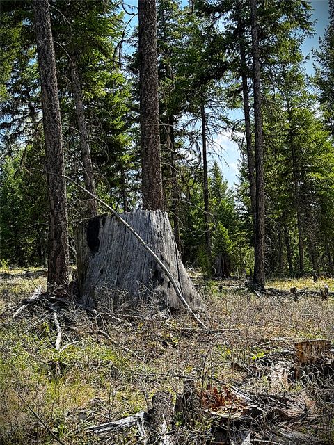 Tiny photo for 78 Ivor Creek Road, Eureka, MT 59917 (MLS # 30070208)