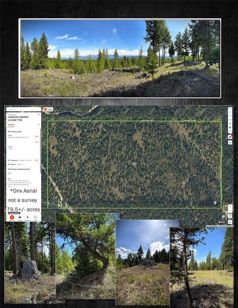 Tiny photo for 78 Ivor Creek Road, Eureka, MT 59917 (MLS # 30070208)