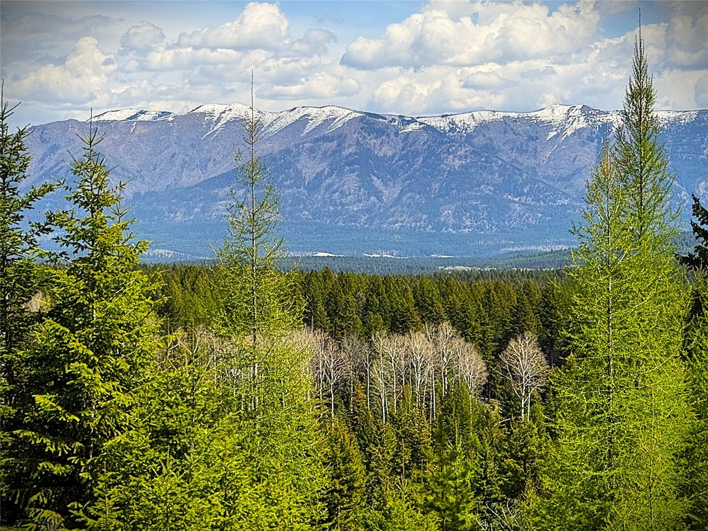 Photo of 78 Ivor Creek Road, Eureka, MT 59917 (MLS # 30070208)