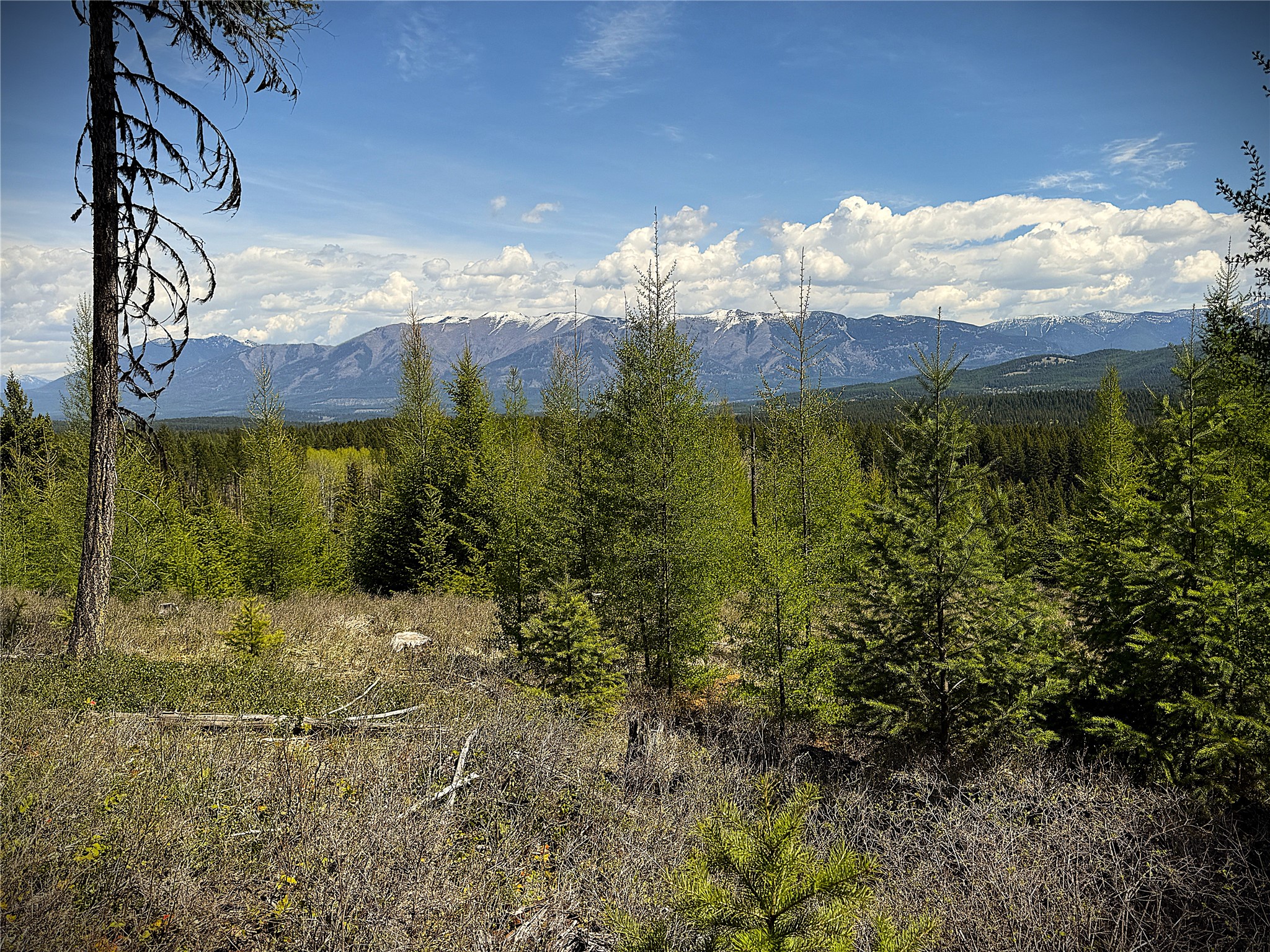 78 Ivor Creek Road