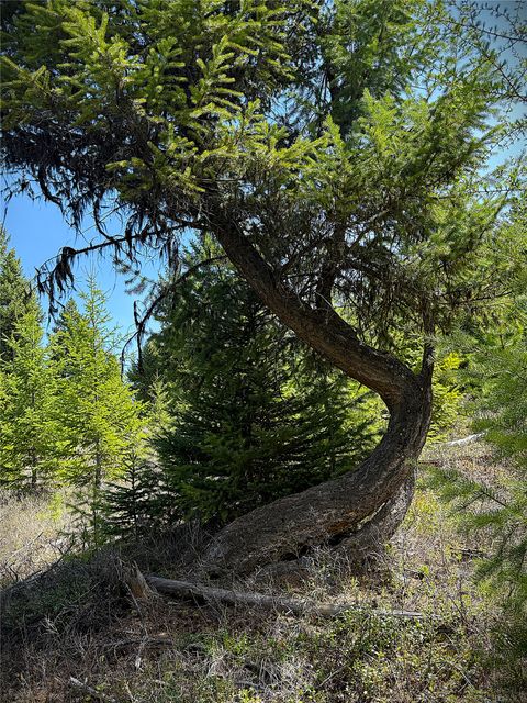 Tiny photo for 78 Ivor Creek Road, Eureka, MT 59917 (MLS # 30070208)