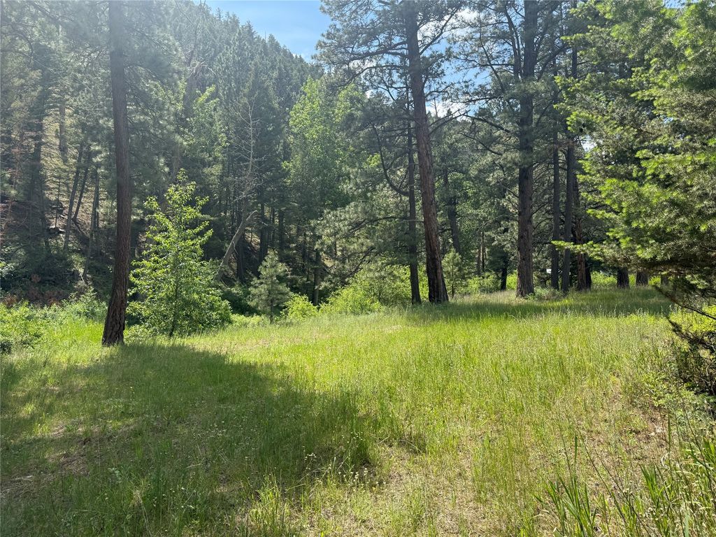 Photo of NHN Little Wolf Creek Road, Wolf Creek, MT 59648 (MLS # 30052705)