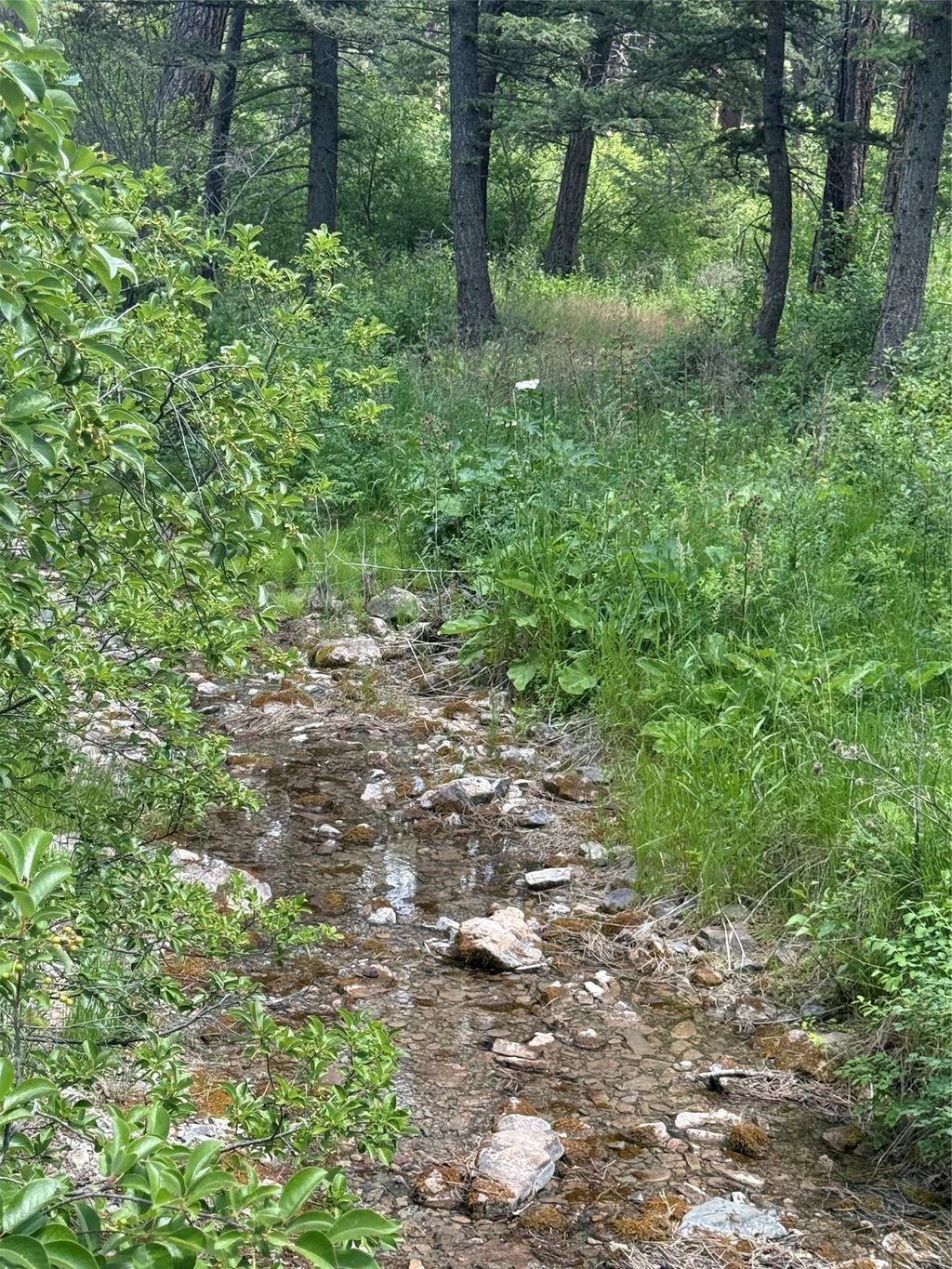 Photo of NHN Little Wolf Creek Road, Wolf Creek, MT 59648 (MLS # 30052705)