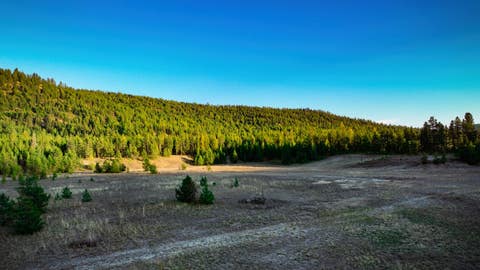 Tiny photo for 9330 US Hwy 2 W, Marion, MT 59925 (MLS # 30076753)