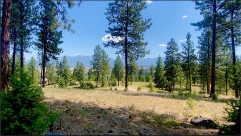 Tiny photo for nhn Hillandale Trail, Eureka, MT 59917 (MLS # 30076285)