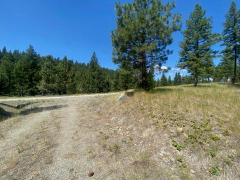 Tiny photo for nhn Hillandale Trail, Eureka, MT 59917 (MLS # 30076285)
