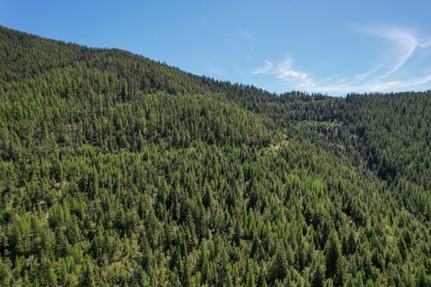Tiny photo for Tract 1 Pardee Flat Road, Superior, MT 59872 (MLS # 30074041)