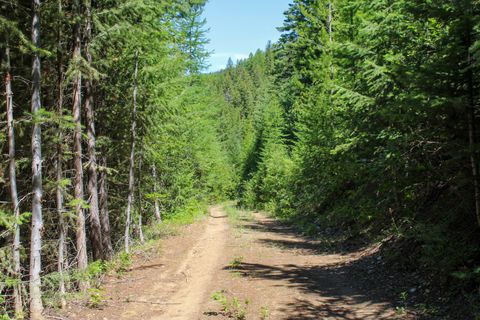 Tiny photo for Tract 1 Pardee Flat Road, Superior, MT 59872 (MLS # 30074041)
