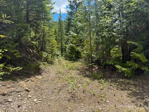 Tiny photo for Tract 1 Pardee Flat Road, Superior, MT 59872 (MLS # 30074041)