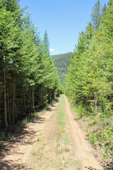 Tiny photo for Tract 1 Pardee Flat Road, Superior, MT 59872 (MLS # 30074041)