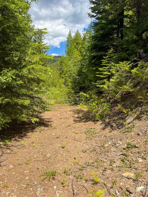 Tiny photo for Tract 1 Pardee Flat Road, Superior, MT 59872 (MLS # 30074041)