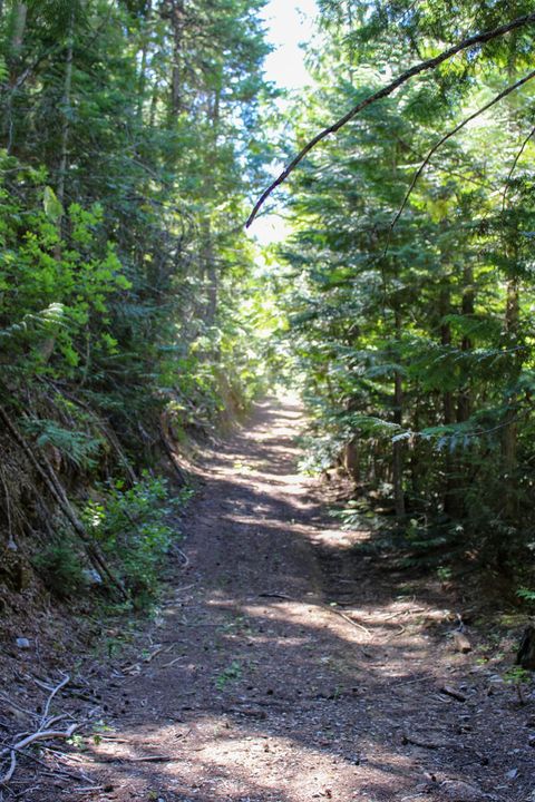 Tiny photo for Tract 1 Pardee Flat Road, Superior, MT 59872 (MLS # 30074041)