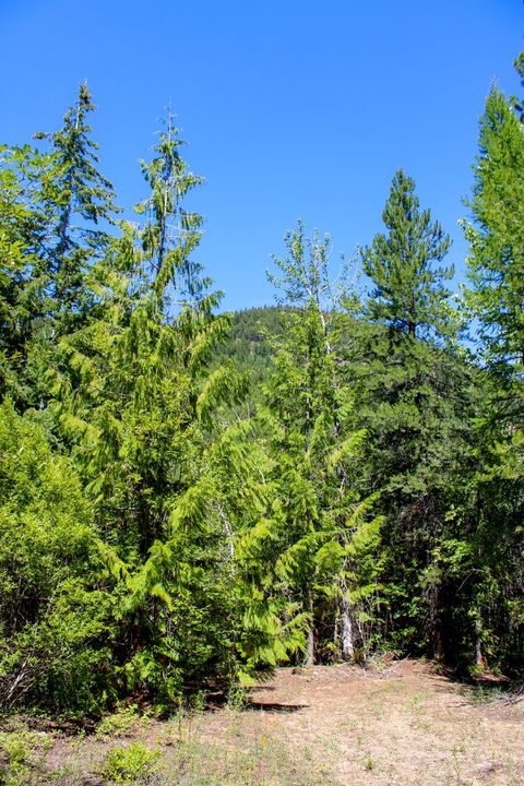 Tiny photo for Tract 1 Pardee Flat Road, Superior, MT 59872 (MLS # 30074041)